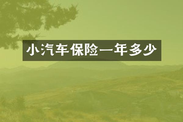 小汽车保险一年多少