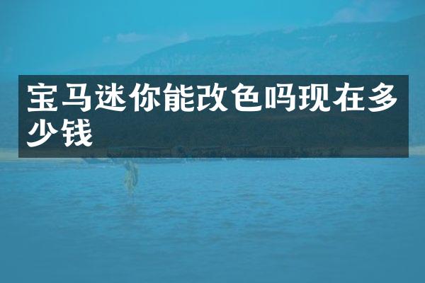 宝马迷你能改色吗现在多少钱