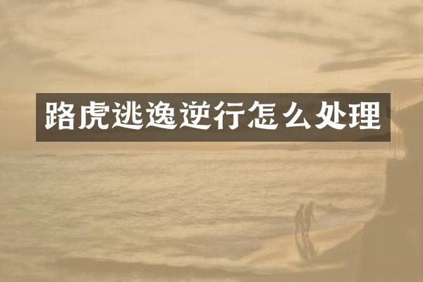 路虎逃逸逆行怎么处理