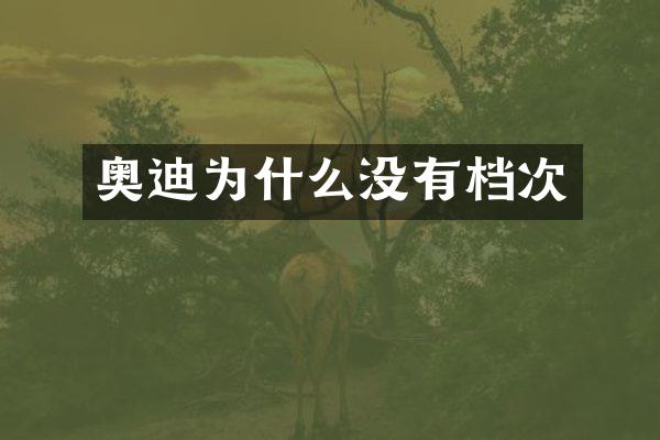 奥迪为什么没有档次