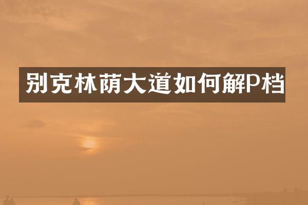 别克林荫大道如何解P档