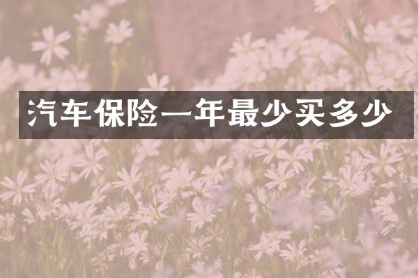 汽车保险一年最少买多少
