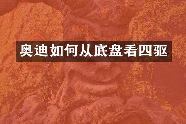 奥迪如何从底盘看四驱