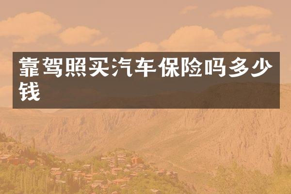 靠驾照买汽车保险吗多少钱