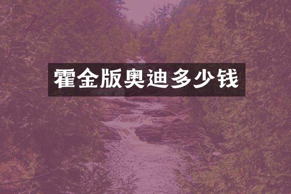 霍金版奥迪多少钱