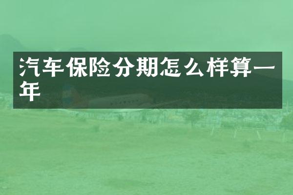 汽车保险分期怎么样算一年