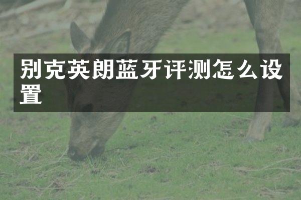 别克英朗蓝牙评测怎么设置