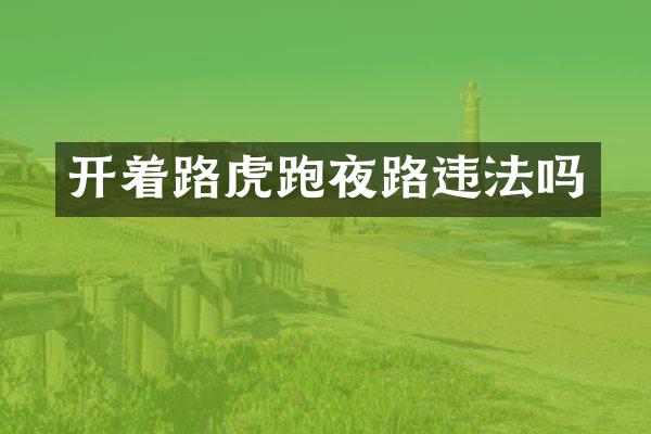 开着路虎跑夜路违法吗