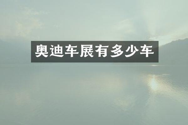 奥迪车展有多少车