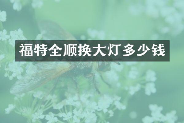 福特全顺换大灯多少钱