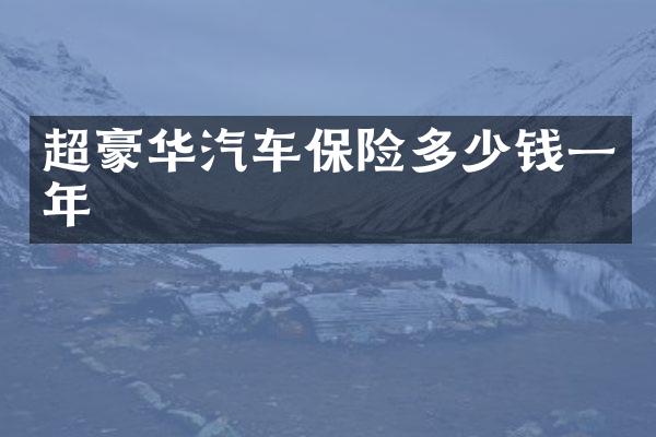 超豪华汽车保险多少钱一年