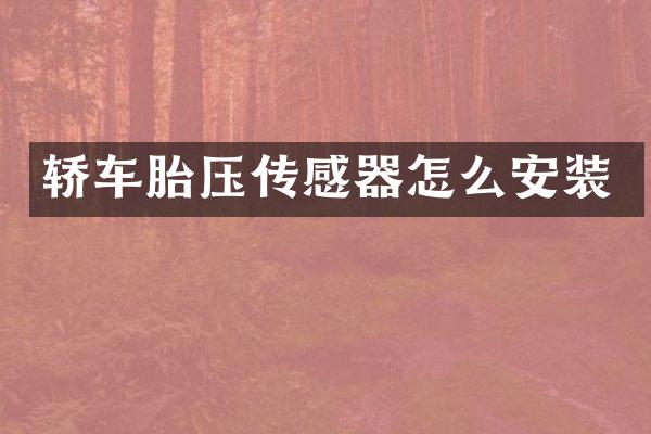 轿车胎压传感器怎么安装