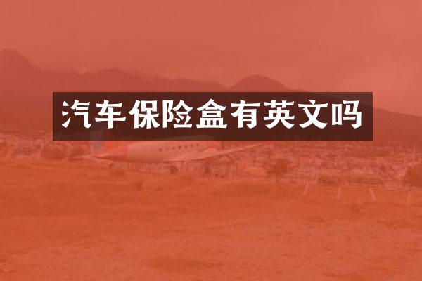 汽车保险盒有英文吗