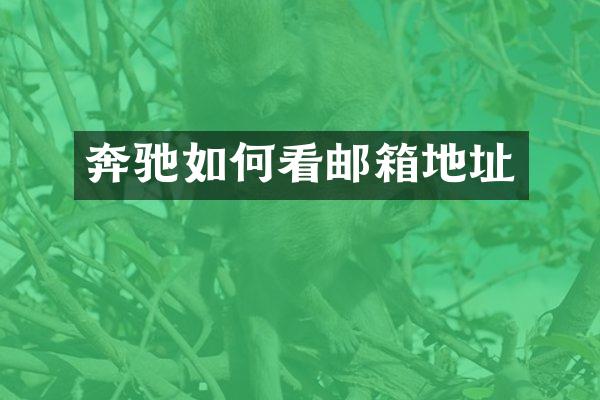 奔驰如何看邮箱地址
