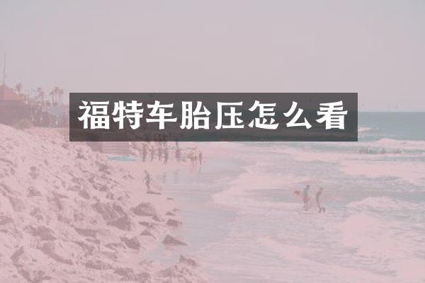 福特车胎压怎么看