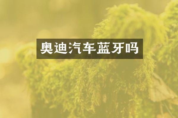 奥迪汽车蓝牙吗
