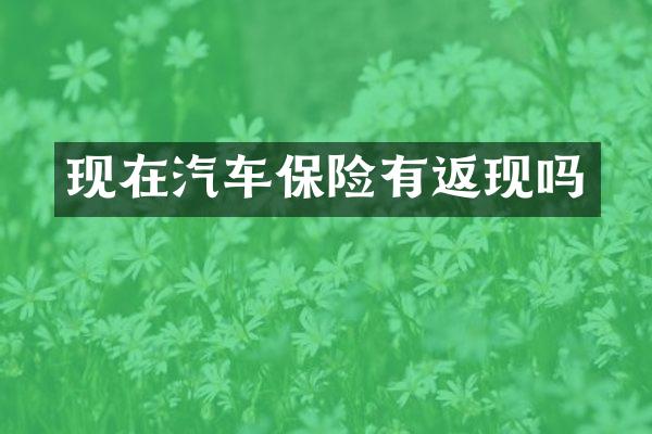现在汽车保险有返现吗