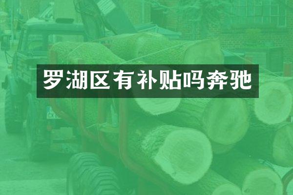 罗湖区有补贴吗奔驰