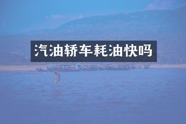 汽油轿车耗油快吗