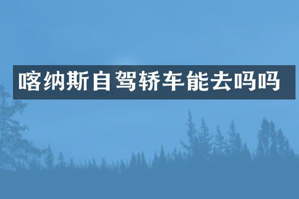 喀纳斯自驾轿车能去吗吗
