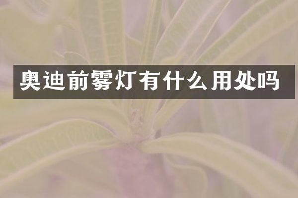 奥迪前雾灯有什么用处吗