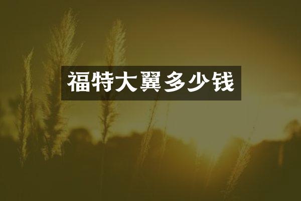 福特大翼多少钱