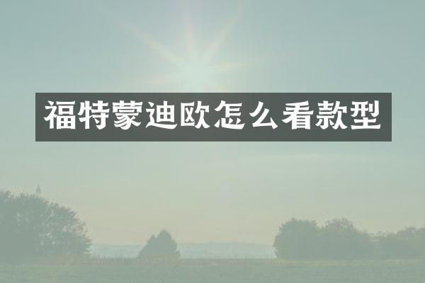 福特蒙迪欧怎么看款型