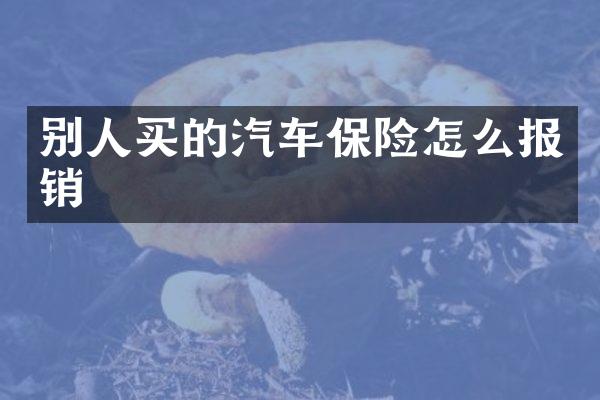 别人买的汽车保险怎么报销