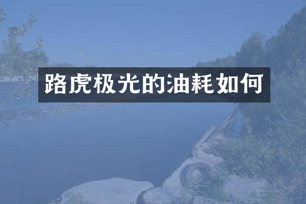 路虎极光的油耗如何