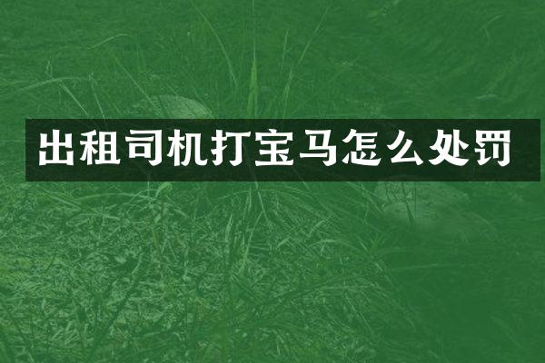 出租司机打宝马怎么处罚