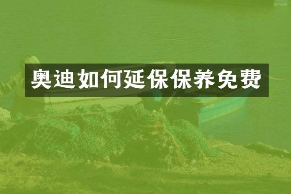 奥迪如何延保保养免费