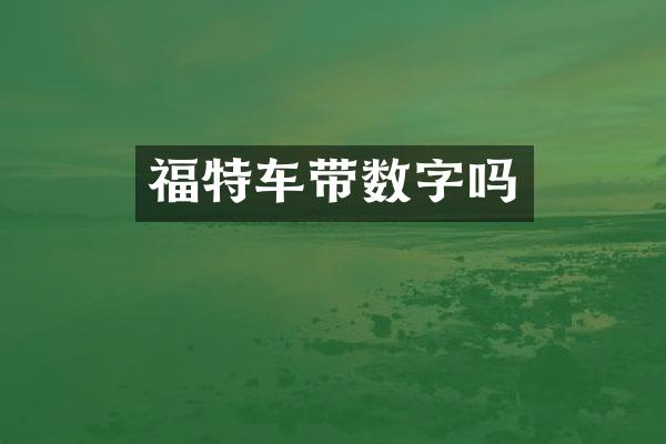 福特车带数字吗