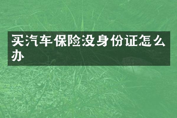 买汽车保险没怎么办