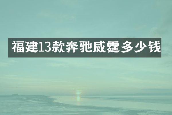 福建13款奔驰威霆多少钱