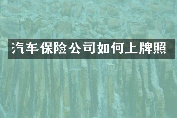 汽车保险公司如何上牌照