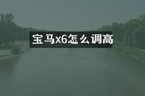宝马x6怎么调高