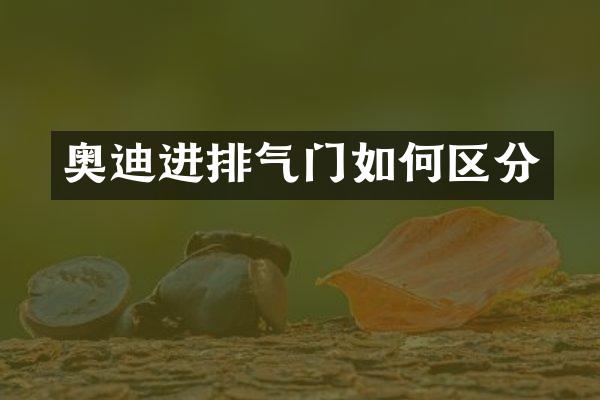 奥迪进排气门如何区分