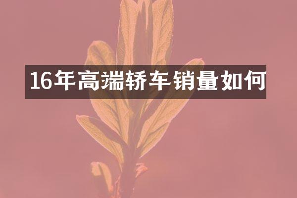 16年高端轿车销量如何
