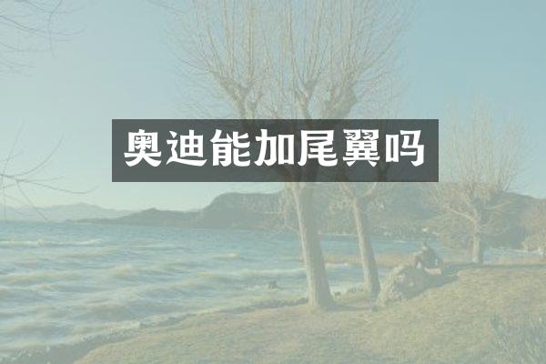奥迪能加尾翼吗