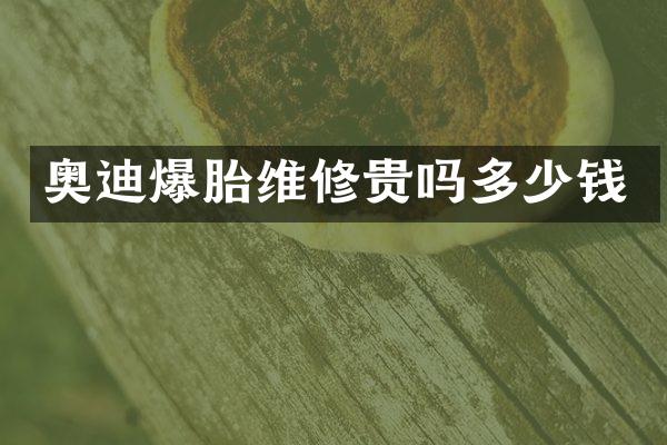 奥迪爆胎维修贵吗多少钱