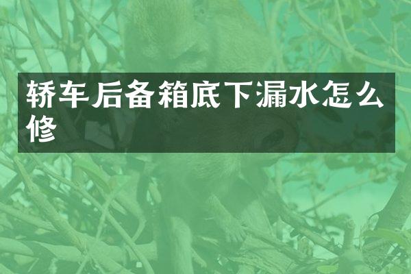 轿车后备箱底下漏水怎么修