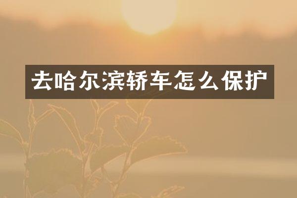 去哈尔滨轿车怎么保护