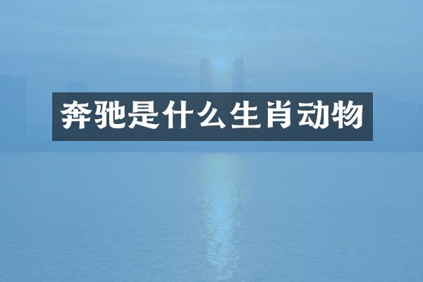 奔驰是什么生肖动物