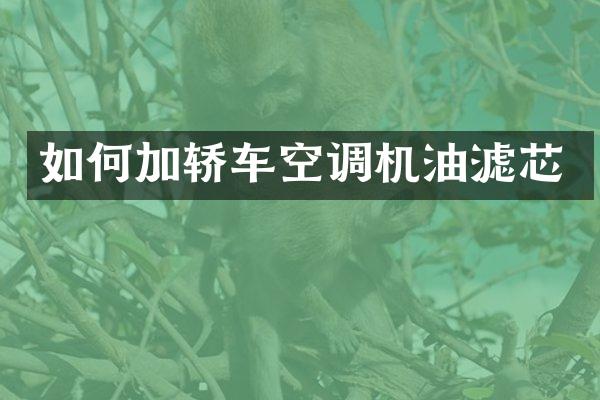 如何加轿车空调机油滤芯