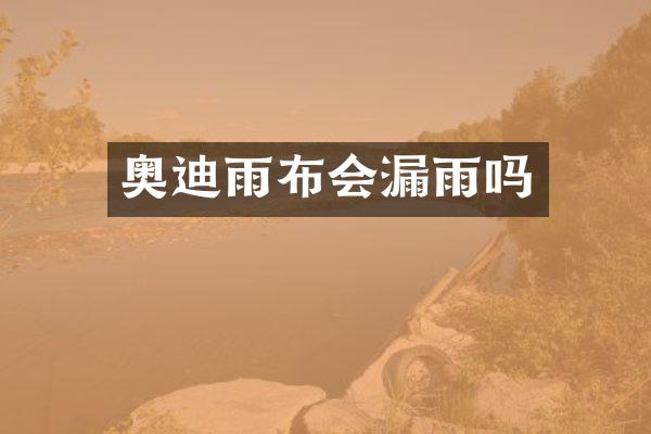 奥迪雨布会漏雨吗