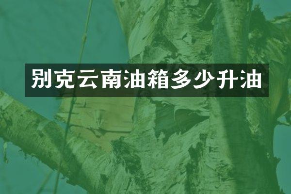 别克云南油箱多少升油