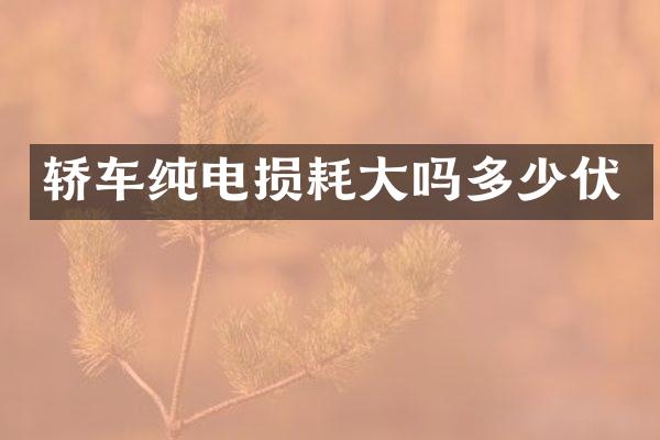 轿车纯电损耗大吗多少伏