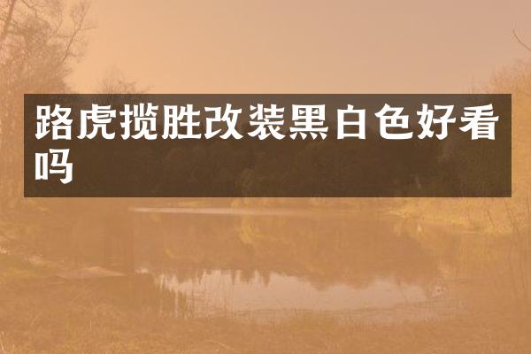 路虎揽胜改装黑白色好看吗