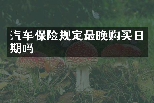 汽车保险规定最晚购买日期吗