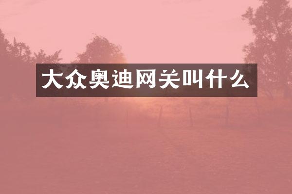 大众奥迪网关叫什么